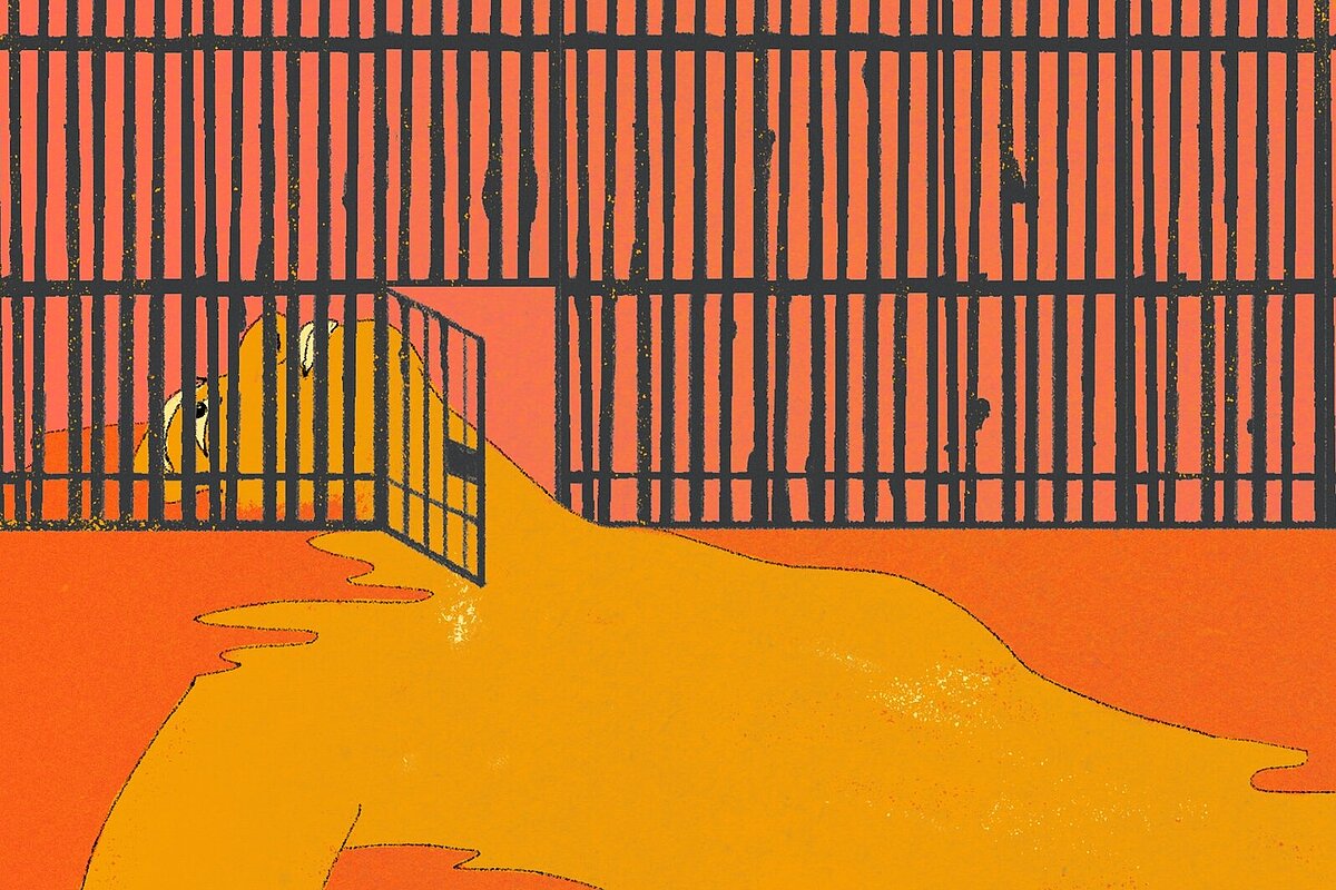 Illustration: A Justice System in the Service of Injustice