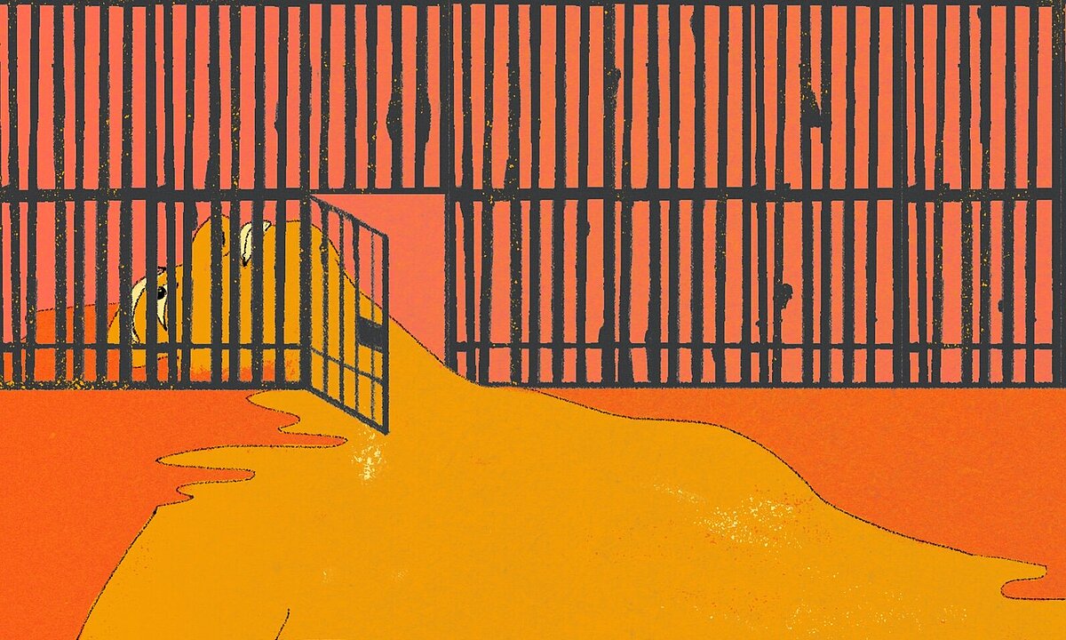 Illustration: A Justice System in the Service of Injustice