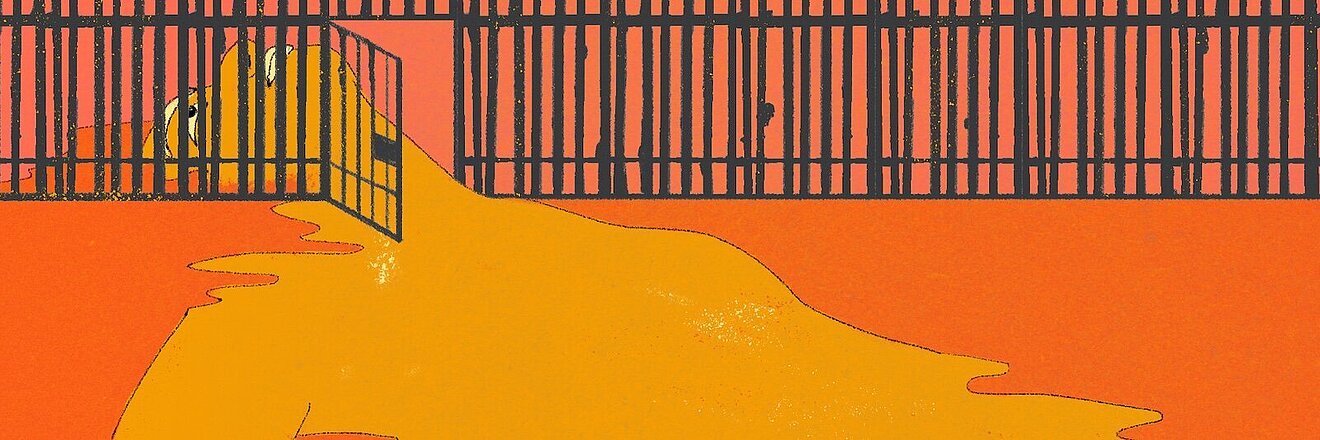 Illustration: A Justice System in the Service of Injustice